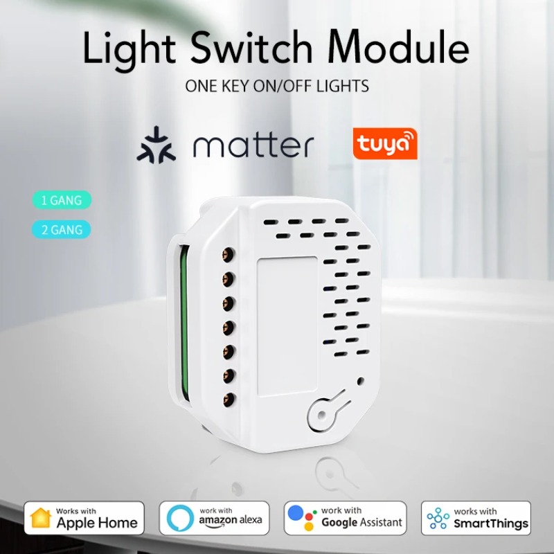 Matter Light Switch Module 2Ga - Smart Home Automation ulasan dan harga