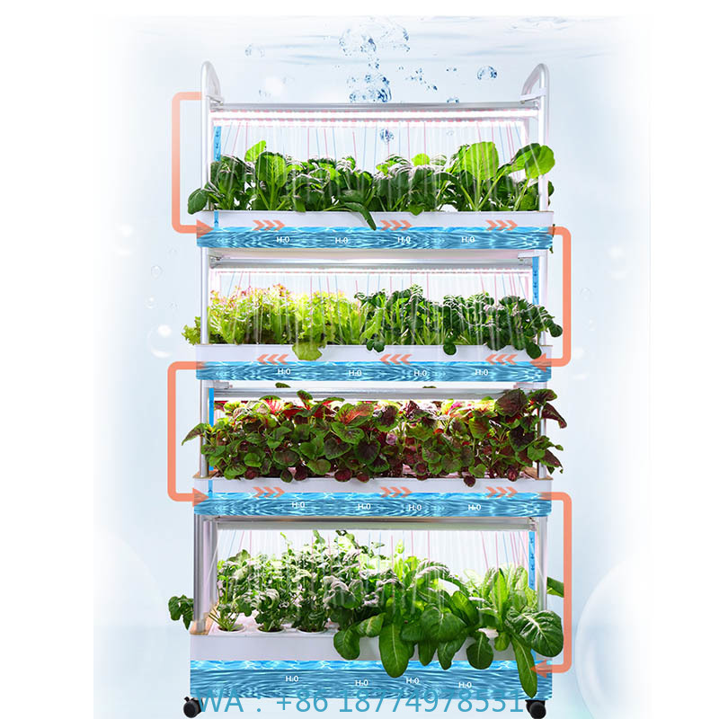 ydroponic Planting System Smar - Smart Home Automation ulasan dan harga