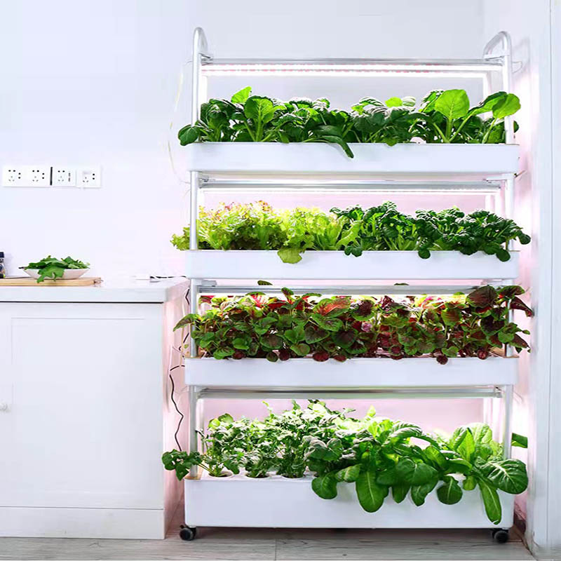 ydroponic Planting System Smar - Smart Home Automation ulasan dan harga