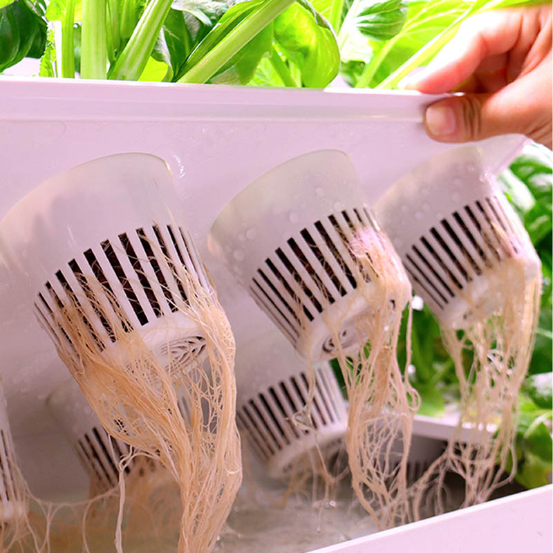 ydroponic Planting System Smar - Smart Home Automation ulasan dan harga