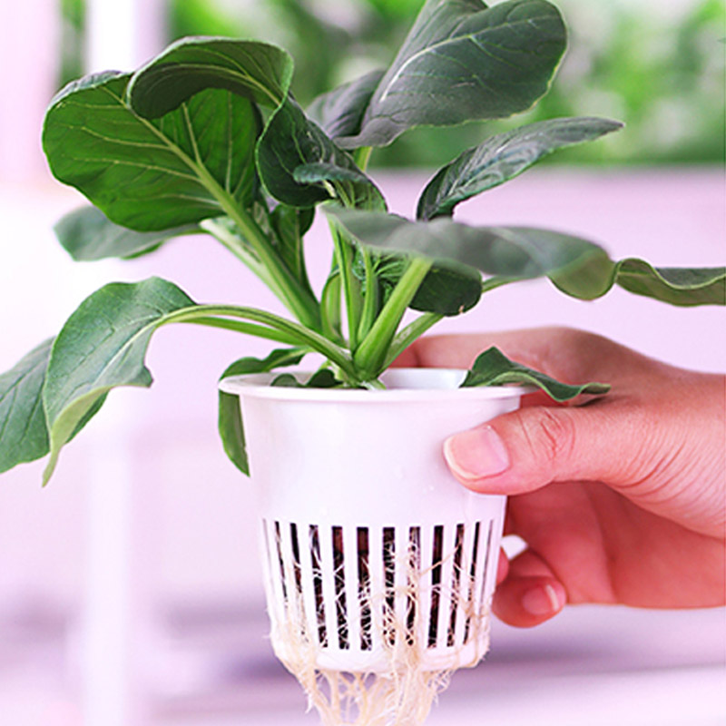 ydroponic Planting System Smar - Smart Home Automation ulasan dan harga